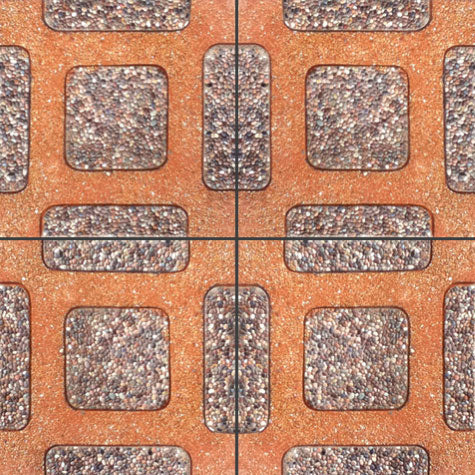 TORTUGA ANTIGUO