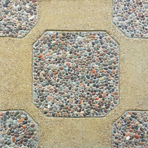 TORTUGA NUEVO